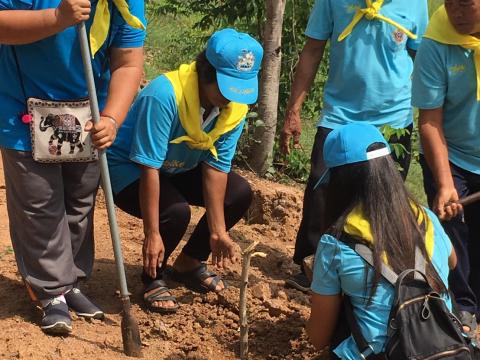 ปลูกป่าเฉลิมพระเกียรติสมเด็จพระนางเจ้าสิริกิติ์ พระบรมราชินีนาถ 