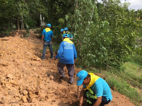 ปลูกป่าเฉลิมพระเกียรติสมเด็จพระนางเจ้าสิริกิติ์ พระบรมราชินีนาถ 