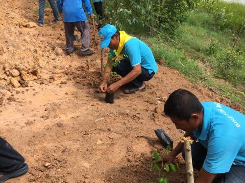 ปลูกป่าเฉลิมพระเกียรติสมเด็จพระนางเจ้าสิริกิติ์ พระบรมราชินีนาถ 