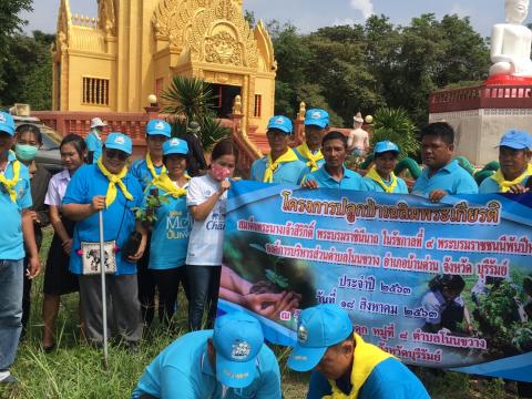 ปลูกป่าเฉลิมพระเกียรติสมเด็จพระนางเจ้าสิริกิติ์ พระบรมราชินีนาถ 