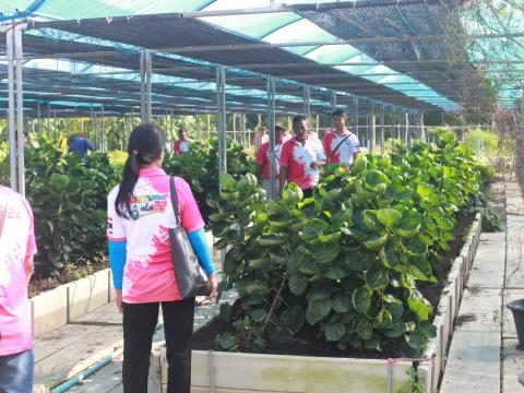 โครงการฝึกอบรมศึกษาดูงานเสริมสร้างความรู้ด้านเศรษฐกิจพอเพียง