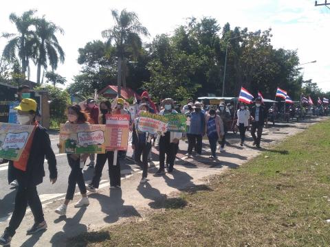 รณรงค์การเลือกตั้ง