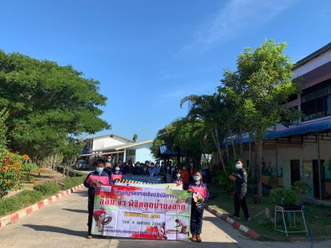 รณรงค์ป้องกันการแพร่ระบาดของโรคไข้เลือดออกช่วงปลายปี